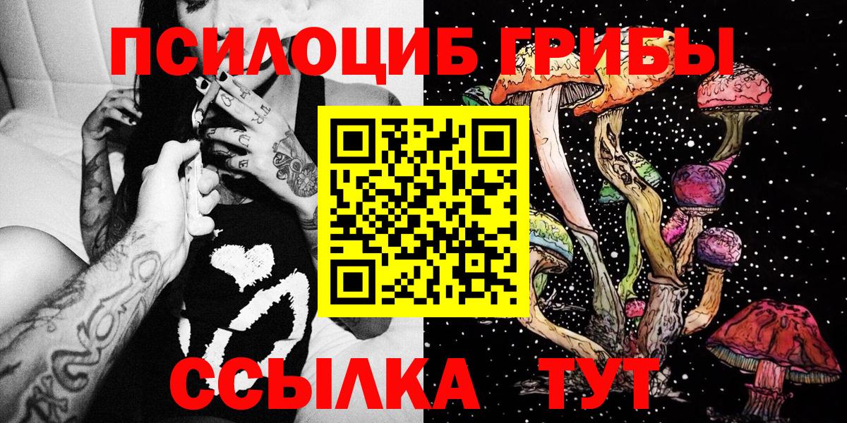 Псилоцибиновые грибы Cubensis  Вход с VPN  Алейск 